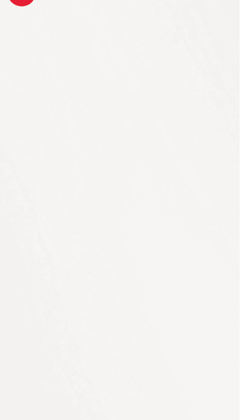 Absolute White
