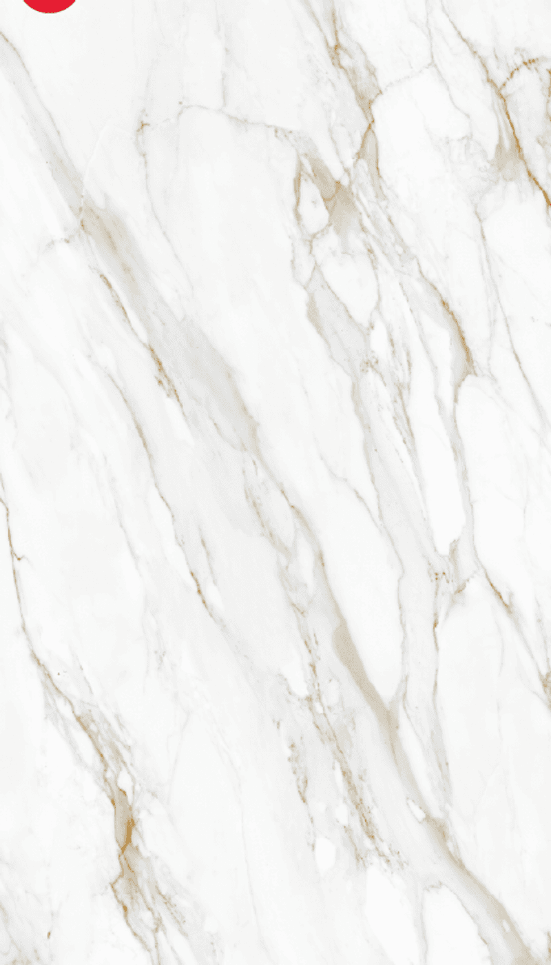 Calacatta Gold